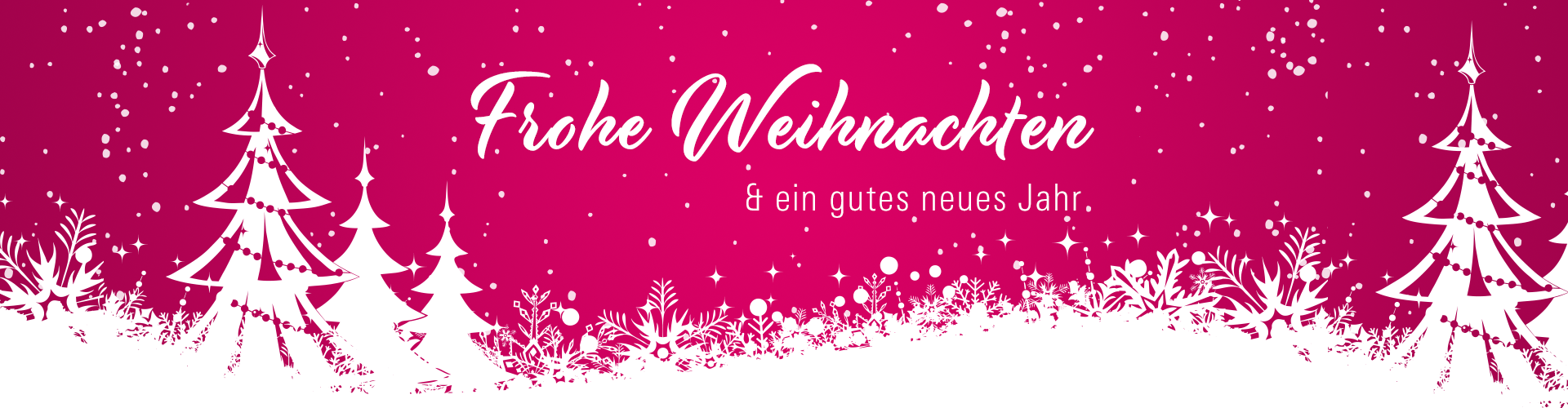 Frohe Weihnachten & ein gutes neues Jahr!