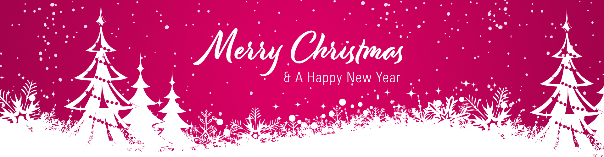 Merry Christmas & a Happy New Year!