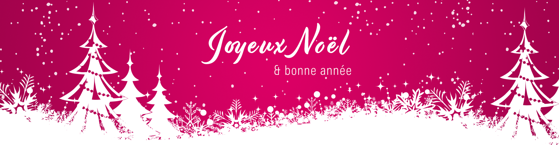 Joyeux Noël & bonne année !