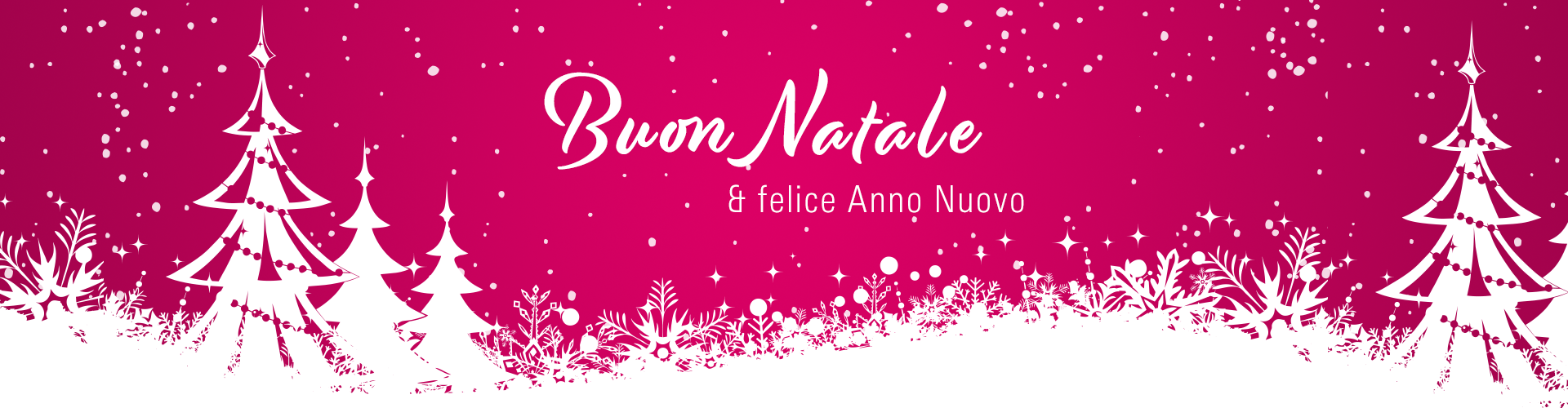 Buon Natale e felice anno nuovo!